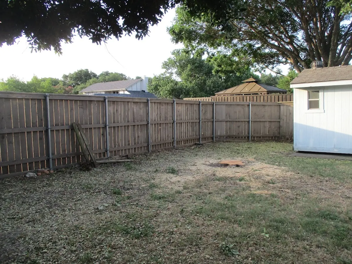 Cleared yard after professional tree removal in Tyner