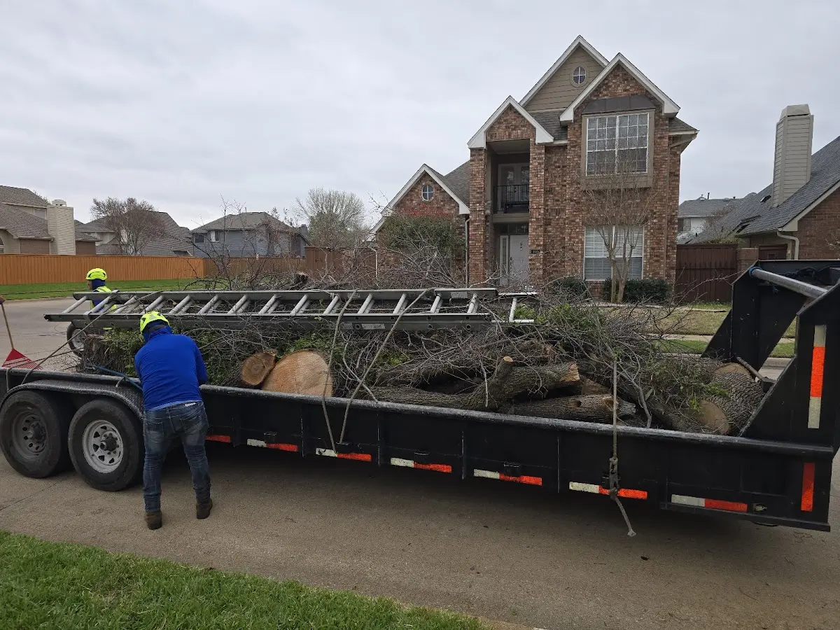 Expert Tree Fertilization with proper safety equipment in Tyner